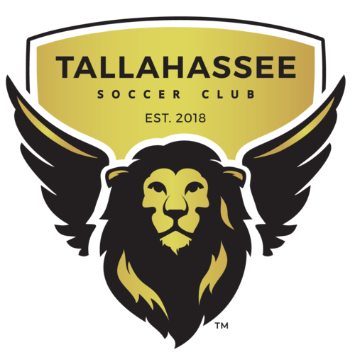 2026 TLHSC Tryouts Registration poster