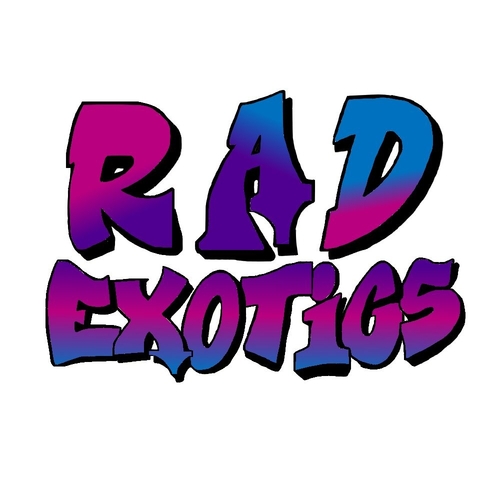 RAD Exotics VR Experience poster