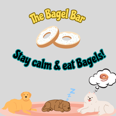 Coffee & Calm: Teaching Your Dog How to Settle poster