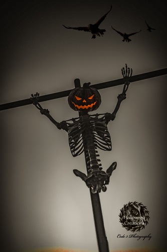 House of Whorrors  poster