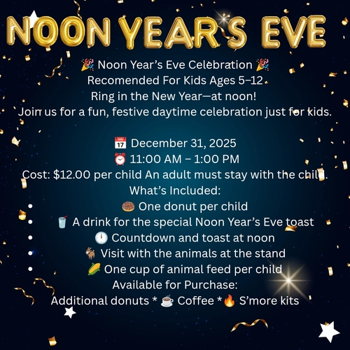 Noon Year's Eve poster