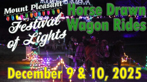 2025 Horse Wagon Rides at the Festival of Lights poster