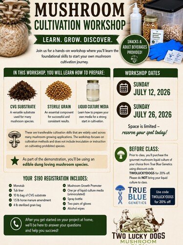 Growing Mushrooms  at Home - CVG Substrate  (age 21+) poster