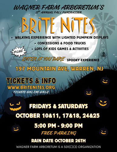 Brite Nites Lite 2025 poster