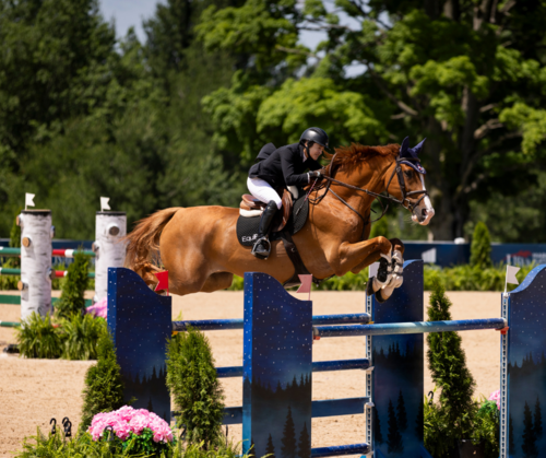 Premier Equestrian Sport | Molon Excavating CSI3* Grand Prix image