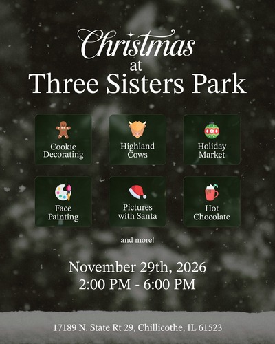 Christmas at the Park poster