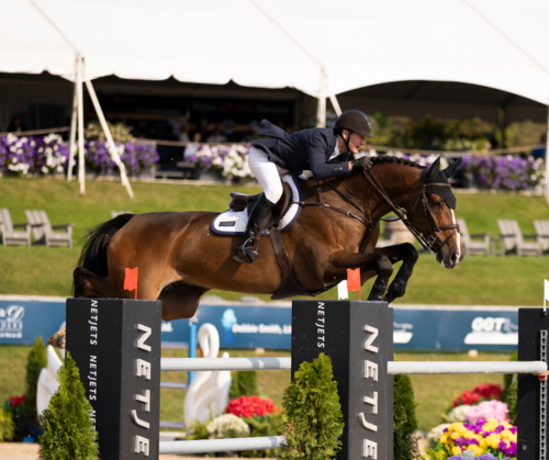 The Ultimate Summer Outing | CSI3* Grand Prix of Michigan image
