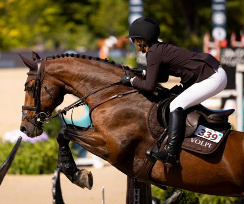 The Path to World Cup Glory | Longines FEI Jumping World Cup CSI5*-W Traverse City image
