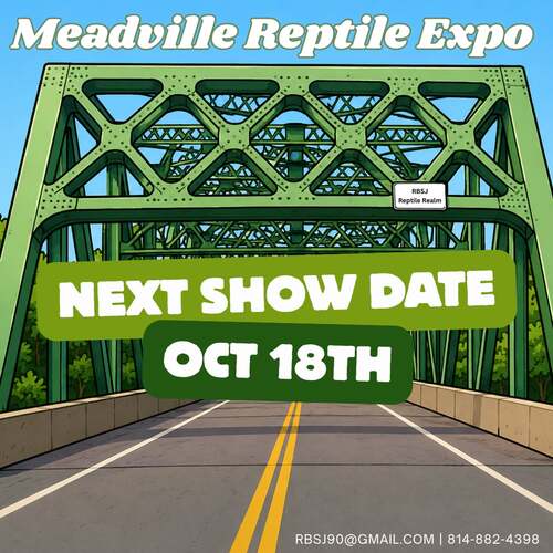 MEADVILLE REPTILE EXPO  poster