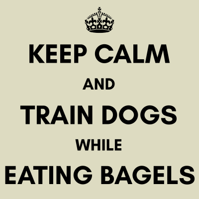 Bagels & Behaviors Challenge Series poster