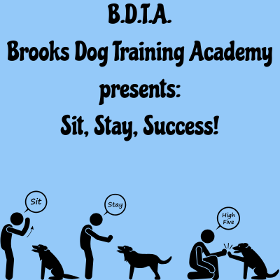 Sit, Stay, Success: Dog Obedience Essentials poster