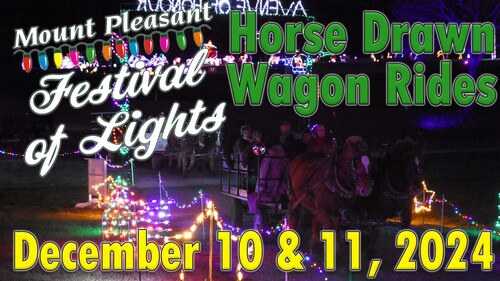 2024 Horse Wagon Rides at the Festival of Lights poster