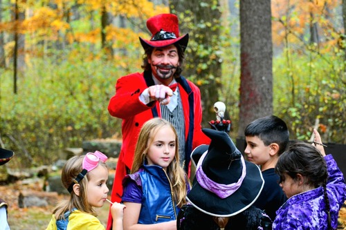 Dark Forest Kids Matinee 2025 poster